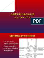 5. Anatomia Functionala a Genunchiului