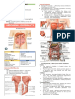 Midline - Tip of The Sternum-Umbilicus-Symphysis Lateral - Runs Through The Umbilicus Across The