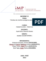 Informe Parasito s3 Ok