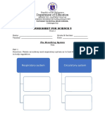 Department of Education: Respiratory System Circulatory System