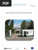 Regulamento Dos Cursos Profissionais 2013/2014