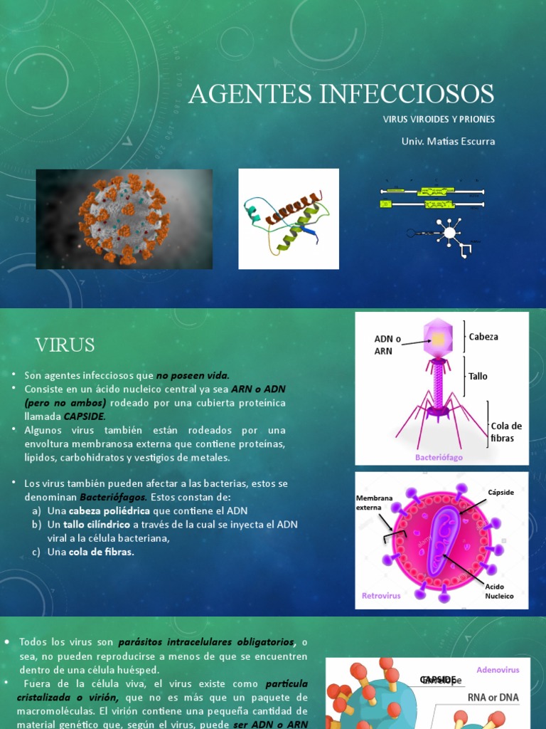 Clasificación de Agentes Infecciosos | PDF | Virus | Adn