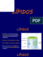 Lípidos