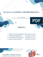 Reg B - 01 - PPT Anatomy and Physiology of Bledder