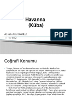 Kuba Havanna Aslan Aral Korkut