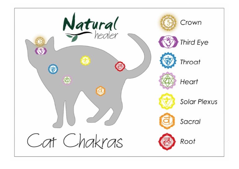 Chakra Chart Cat (A4) PDF