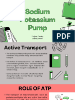 Sodium Potassium Pump Tutorial 20BOE10050 (1)