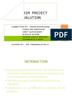 Interim Project Evalution