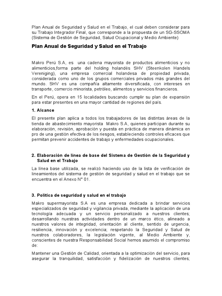 Plan Anual de Seguridad y Salud Laboral | PDF | Auditoría | Seguridad y ...