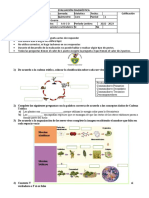 Evaluacion 1er Parcial 9no N°1