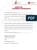 Carta de Consentimiento Informado