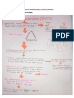 LAURA MANUELA MARÍN LÓPEZ - FISIOLOGIA TROMBOEMBOLISMO PULMONAR