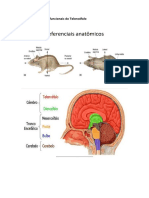 Revisão Neuro