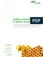 Analiza Sectorului Financiar in Spatiul Virtual