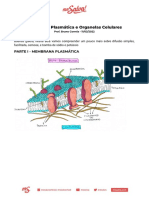 Membrana Plasmática e Organelas Celulares
