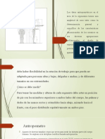 Diapositivas ERGONOMIA