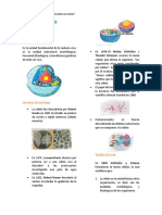 La Célula Biología