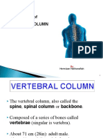 Anatomy of Vertebral Column
