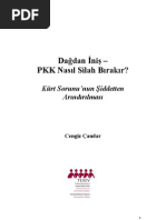 Dağdan inis  PKK Nasıl Silah Bırakır Kürt Sorunu’nun Siddetten Arındırılması