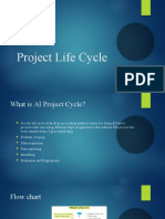 Project Life Cycle