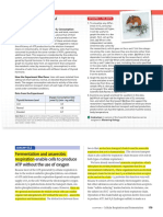 Perbedaan Fermentasi Dan Respirasi Anaerob (Campbell Biology 12th Ed.)