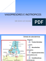 Vasopresores e Inotropicos DR Villareal