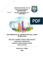 INFORME