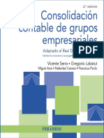 Consolidación Contable de Grupos Empresariales (Labatut Serer, Gregorio Serra Salvador Etc.)