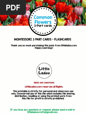 Flowers Flashcards  - Little Ladoo (2)_unlocked