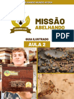 Apostila AULA 2 - Missão Abelhando