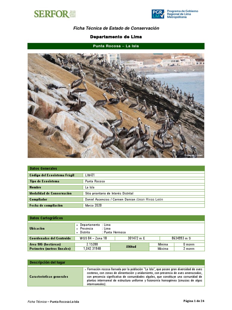 Estado de Conservación de Punta Rocosa | PDF | Lima | Fauna