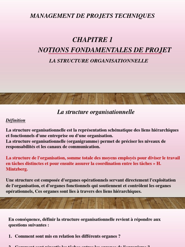 Structure organisationnelle et types | PDF