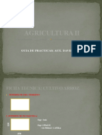 Agricultura II