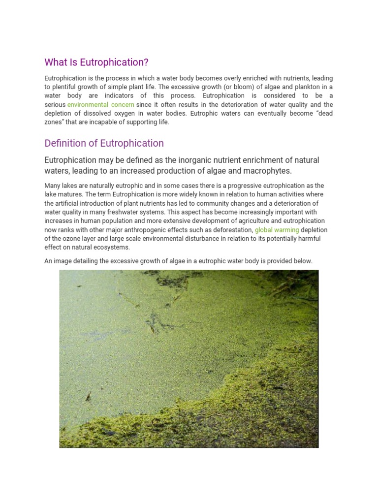 What Is Eutrophication? PDF Eutrophication Systems Ecology