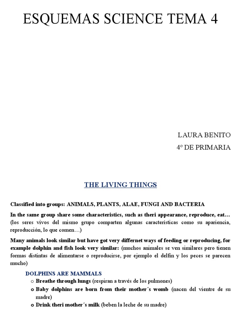 ESQUEMAS SCIENCE TEMA 4 4º Primaria Santillana | PDF