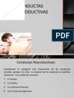 Conductas Reproductivas