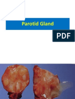 Parotid Gland