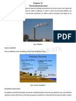 Chapter 16 - Environmental Issues - STUDY RATE