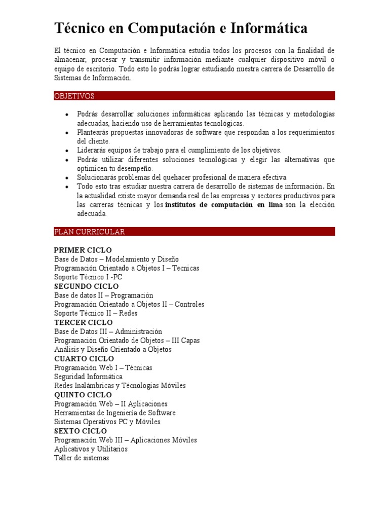 Técnico en Computación e Informática | PDF | Arte | Informática