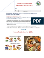 Los carbohidratos y los lípidos: funciones y estructura