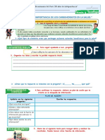 ACTIVIDAD Comprendemos La Importancia de Los Carbohidratos en La Salud