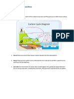 4.3 Carbon Cycle Questions