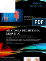 Sistema Digestivo 1234567