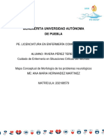 Mapa Conceptual de Morfología de Los Problemas Neurológicos