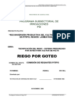 RP - PSI - GGE Pitipo - Goteo - Memoria Palto