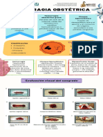 Hemorragia Obstetrica 12