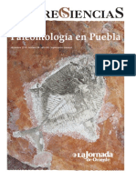 Paleontologia en Puebla Saberes y Cienci