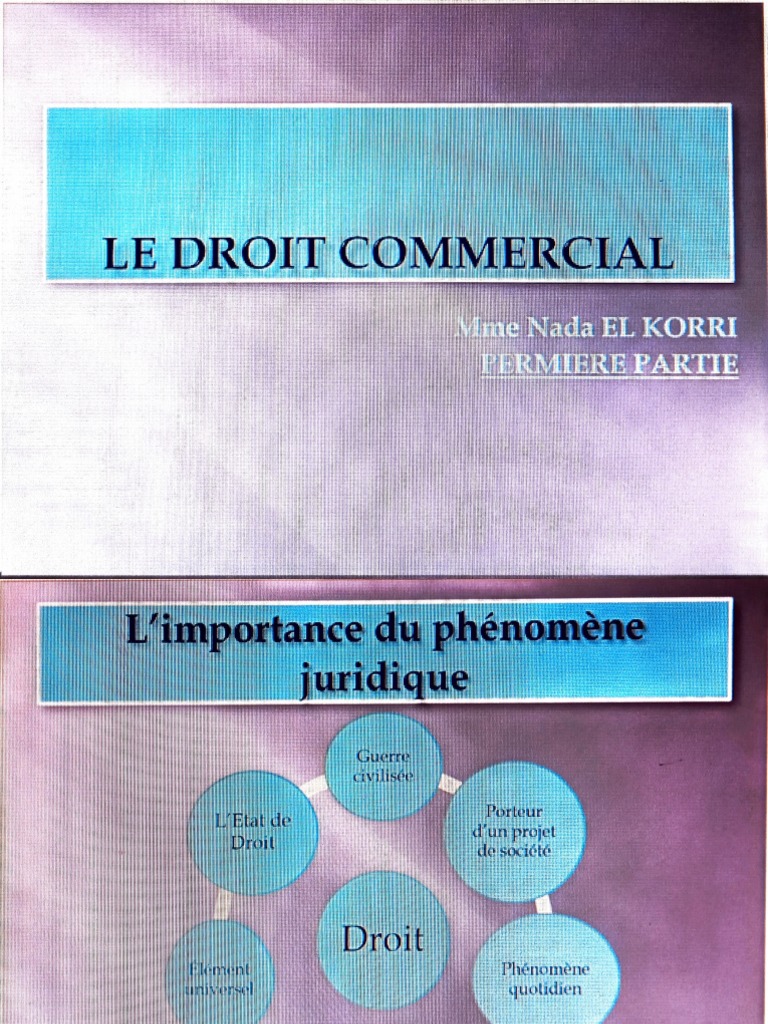 Le Droit Commercial PDF