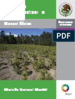 Manual Practicas de Reforestacion