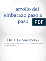 Desarrollo Del Embarazo Paso A Paso